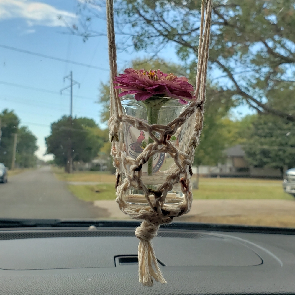 Rear view mirror plant hanger